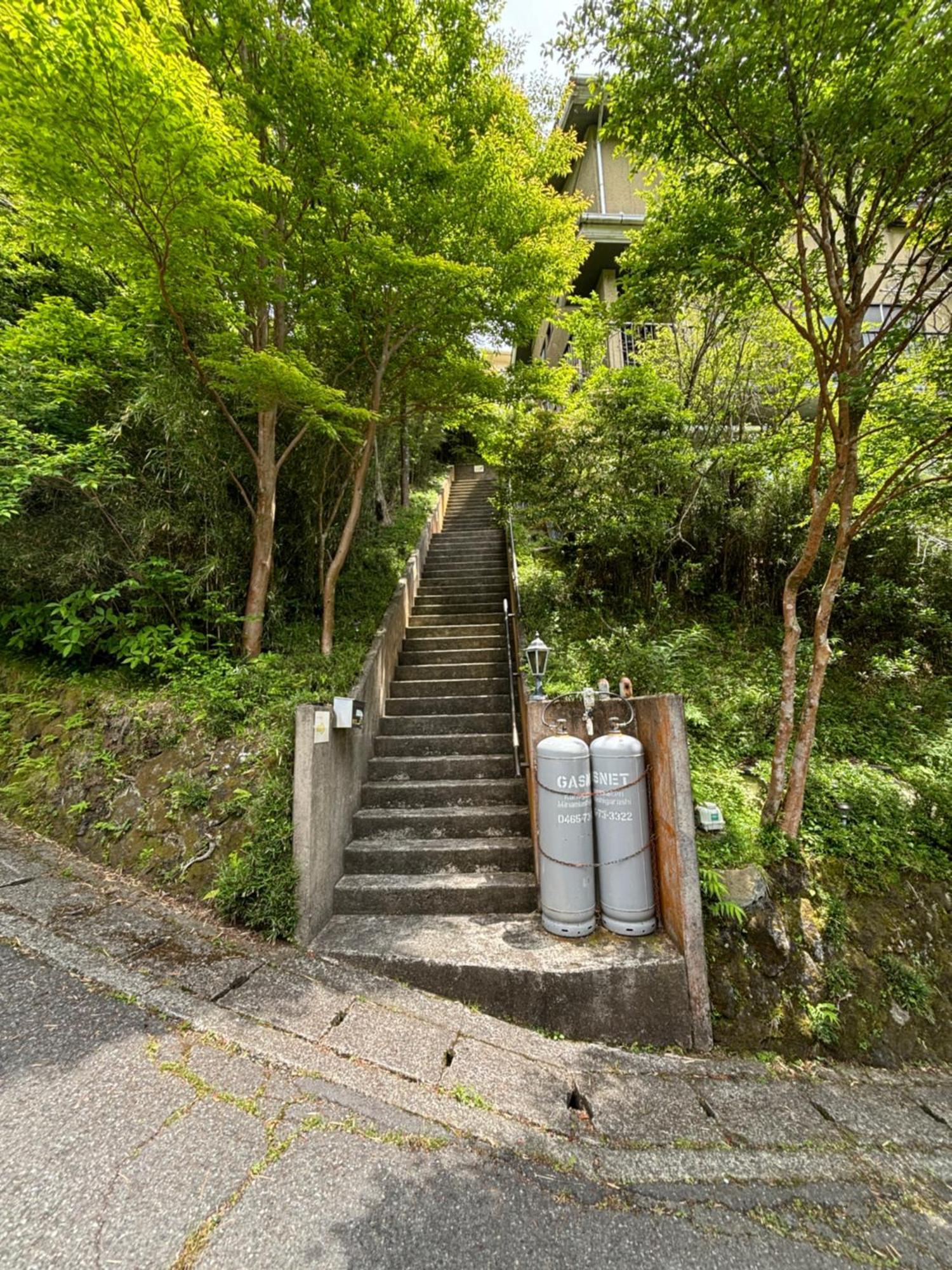 森の中富士山見える部屋202 Daire Hakone Dış mekan fotoğraf